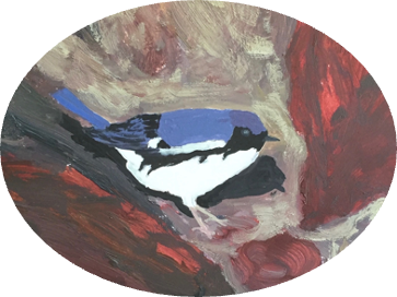 Superior Bioacoustics Avian Research and Consulting